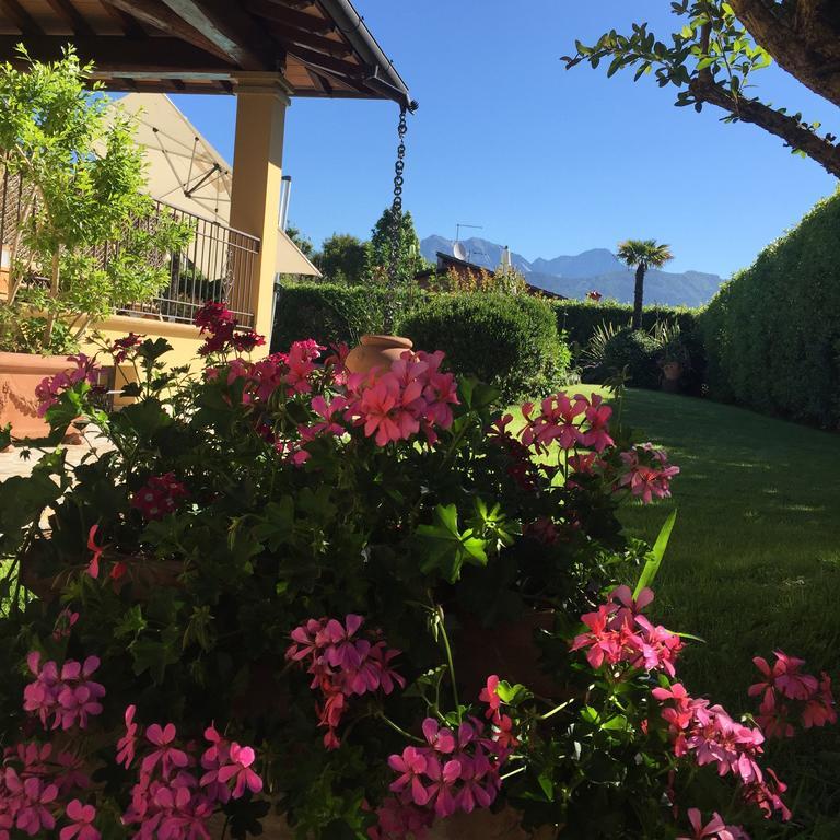 Bed and Breakfast Relais Di Alice- Adults Only Forte dei Marmi Exterior foto